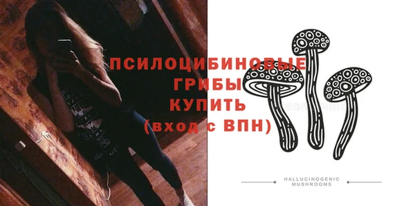 альфа пвп Бугульма